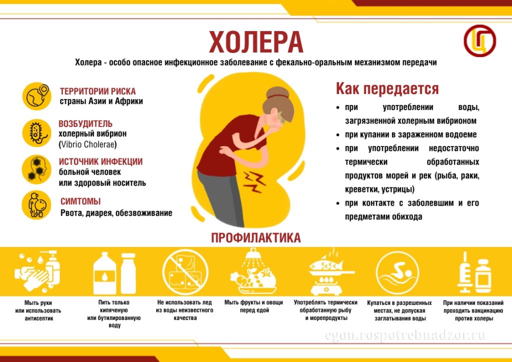 Холера